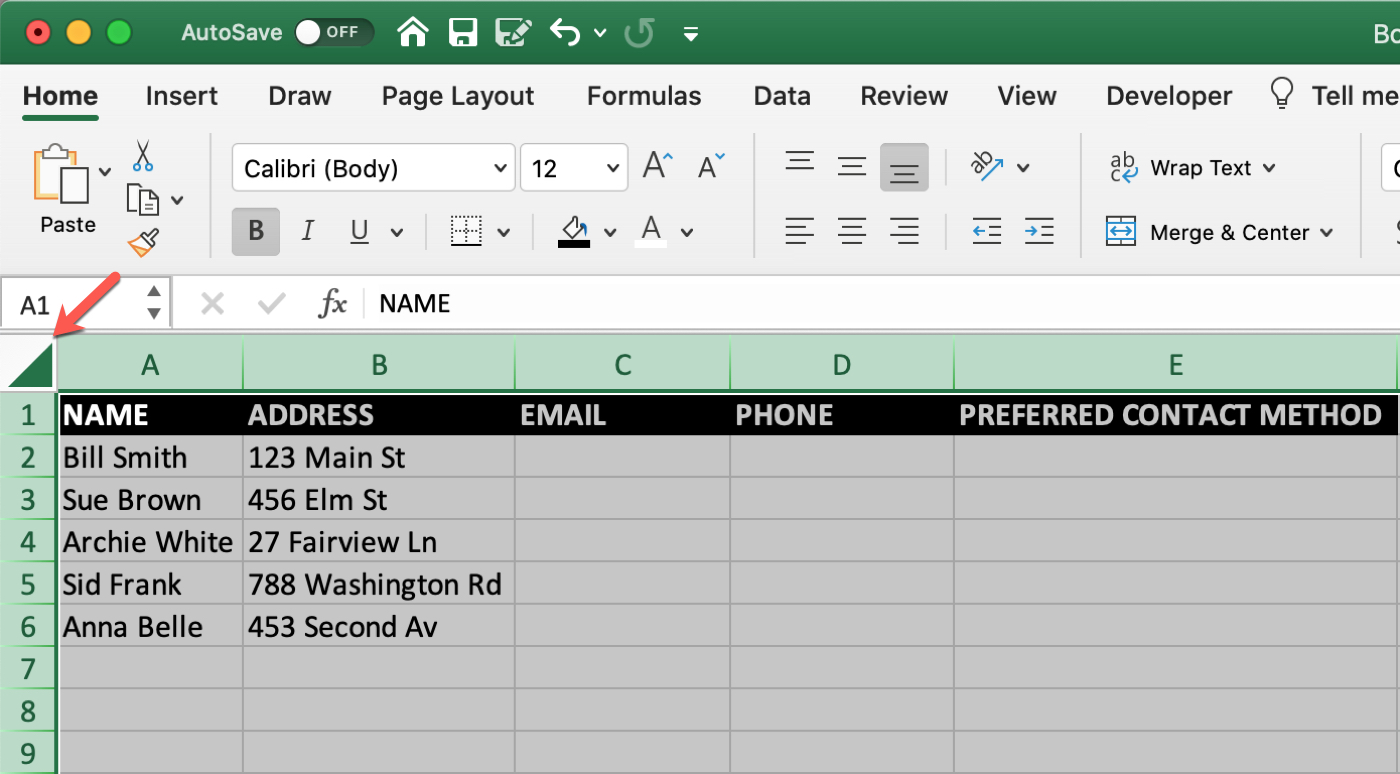 for mac how do you protect specific format in cells in excel